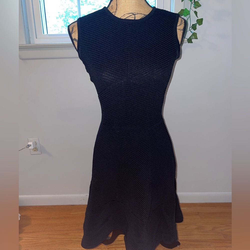 Ronny Kobo Dress